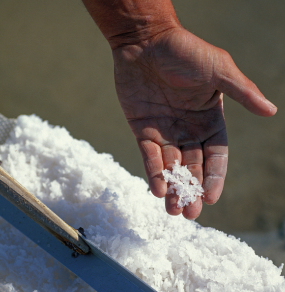 Fleur de sel