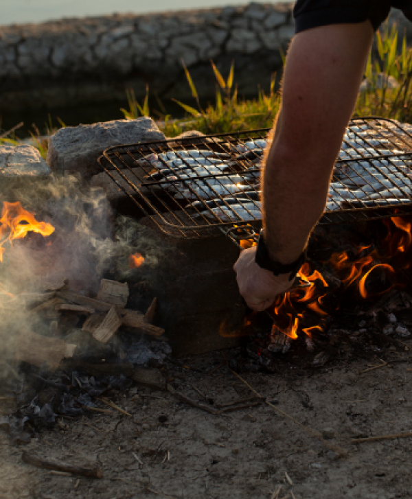 Visite des marais salants et dégustation 