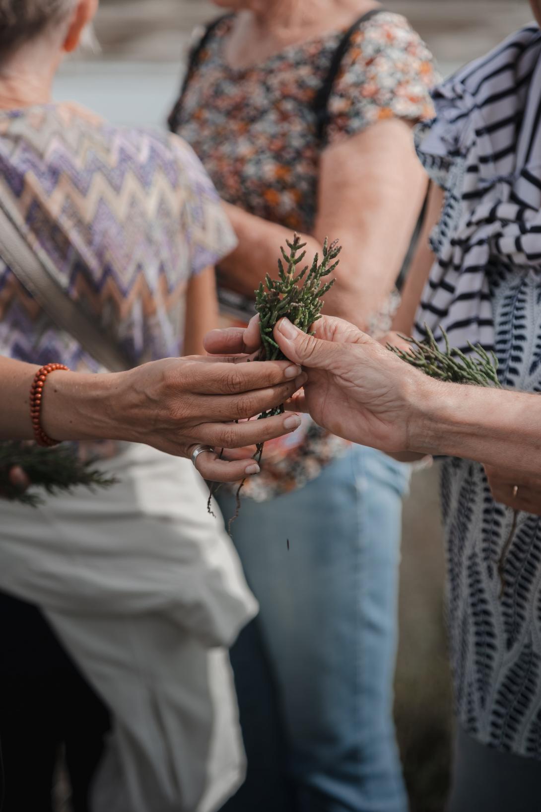 Fête de la Fleur de sel Le Guérandais - Dégustation marais salants 