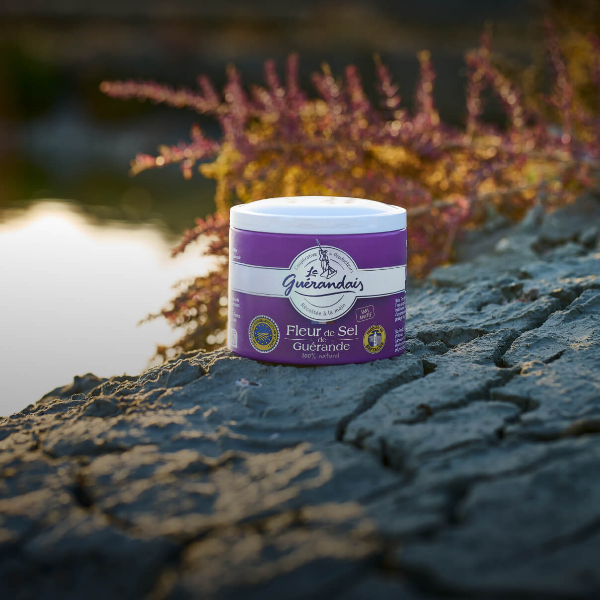 Fleur de Sel de Guérande